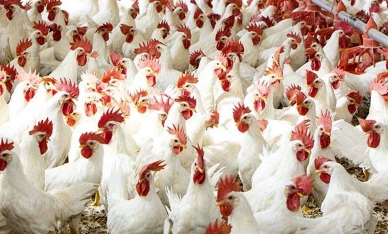 حالة الطقس غدا الخميس 3-3-2022