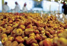 مشروع التمور في السعودية 1